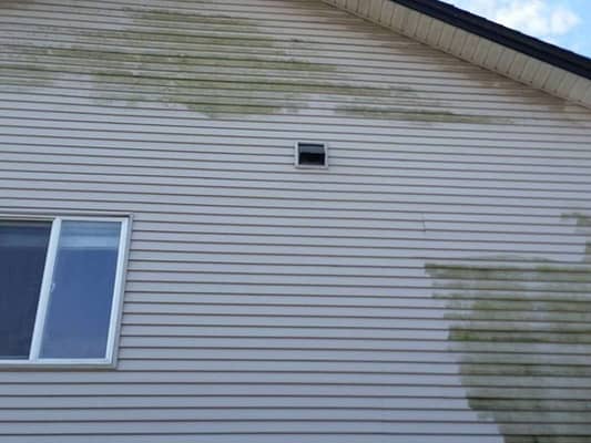 The part of the house siding has green algae. Part has been house washed and is clean.